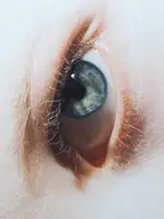 THE EFFECT OF EXPRESSION IN HYPERREALISM THE EFFECT OF EXPRESSION IN HYPERREALISM