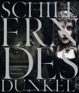 Schillerndes Dunkel: Geschichte, Entwicklung und Themen der Gothic Szene