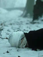 Die bildende Kunst ist ein einsames Geschäft
Die bildende Kunst ist ein einsames Geschäft