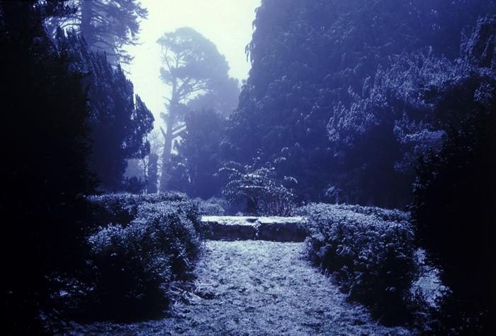 Perous Secret Diary - Keep Out