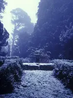 Perous Secret Diary - Keep Out Perous Secret Diary - Keep Out