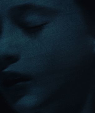 Albertina zeigt 2013 Max Ernst, Rubens und Helnwein