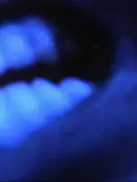 Doppelherz Doppelherz