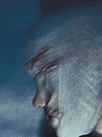 WILDE KINDHEIT WILDE KINDHEIT