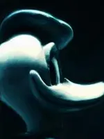 Den (Augen)Blick sehen! Den (Augen)Blick sehen!