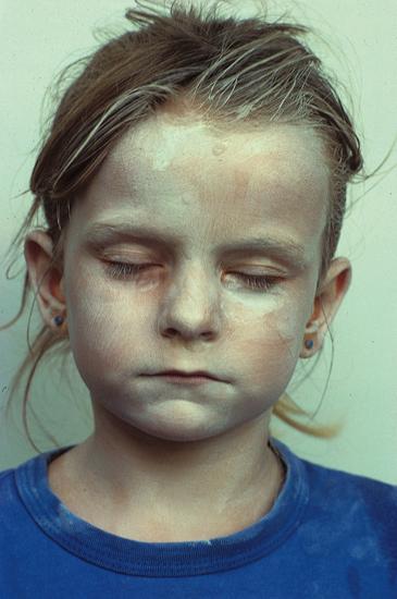 IR/REAL - Tendenzen des Realismus in Österreich ab 1945