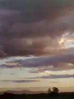 Landscapes Landscapes