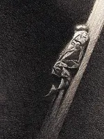 Gottfried Helnwein zeichnet "Unheimliche Geschichten" von Edgar Allan Poe Gottfried Helnwein zeichnet "Unheimliche Geschichten" von Edgar Allan Poe