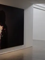 SOLO SHOW AT FRIEDMAN BENDA, NEW YORK SOLO SHOW AT FRIEDMAN BENDA, NEW YORK