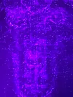 Helnwein Installation im Stephansdom Helnwein Installation im Stephansdom