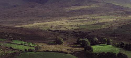 Jason Lee acquires Helnwein's "Irish Landscape"