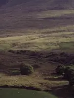 Gottfried Helnwein - Irish and Other Landscapes' Gottfried Helnwein - Irish and Other Landscapes'