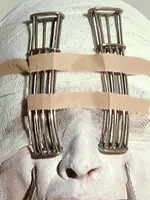 The Self-Portraits of Gottfried Helnwein: A WORLD OF HORROR IN PICTURES The Self-Portraits of Gottfried Helnwein: A WORLD OF HORROR IN PICTURES