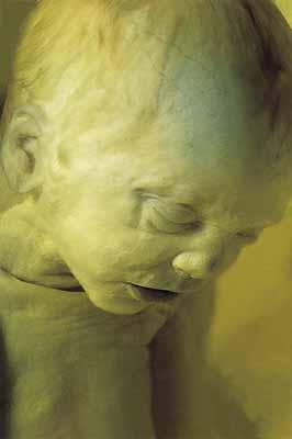 death in the image world