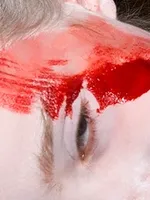 Helnweins schockierende Bilder - Diskussion über die Provokation der Kunst Helnweins schockierende Bilder - Diskussion über die Provokation der Kunst