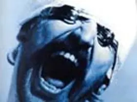 Die lädierte Welt -  Realismus und Realismen in Österreich